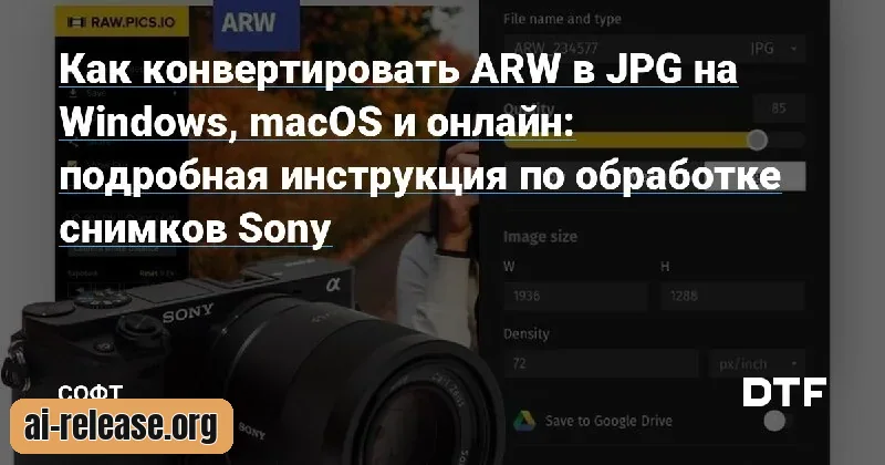ARW в JPG на Windows и Mac: как конвертировать без потери качества